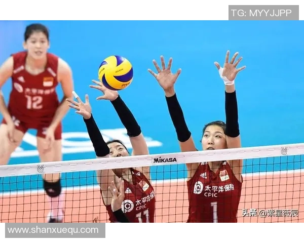 南京排球队创历史新高排球状态排名再创新高峰