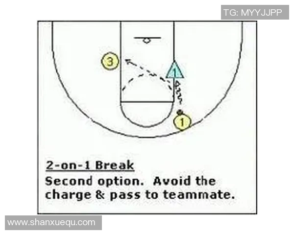 成都排球队快攻战术解析与实战应用探讨