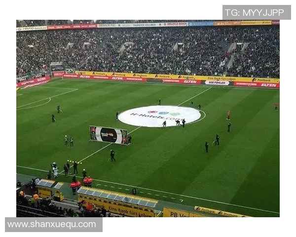 探索BWM足球的魅力与激情，揭示其背后的故事与未来发展趋势