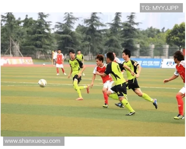 欧阳足球：激情与梦想交织的绿茵场上追逐荣耀的青春故事